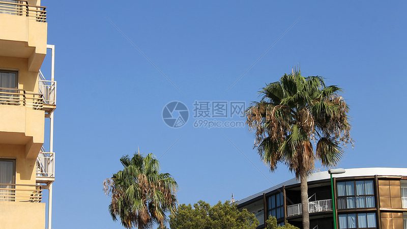 以下是一些上海多人聚会民宿的推荐，供您参考：